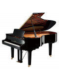C6X (Polished Ebony), зображення 1